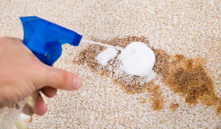 Hand of a man holding a spray bottle spraying on carpet to clean stains