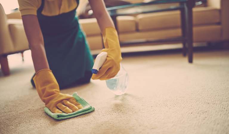 Professional cleaner holding a bottle in his hand cleaning carpet