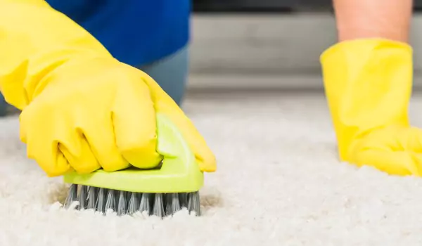 cropped picture of a person cleaning a carpet