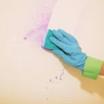 Cropped hand of woman cleaning wall