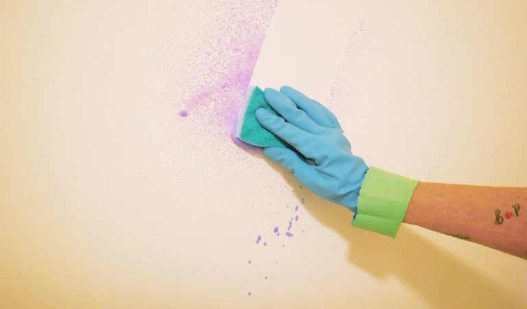 Cropped hand of woman cleaning wall