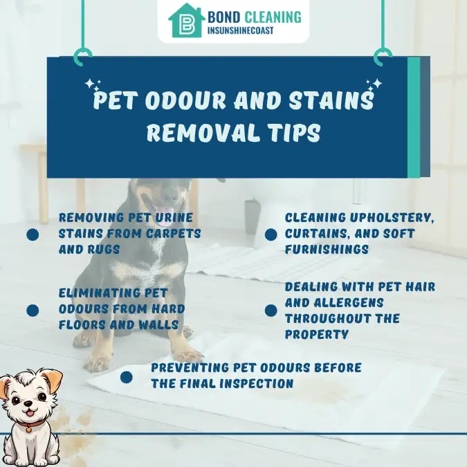 Pet odour and stains removal tips