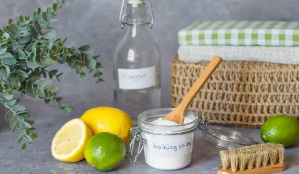 Ecofriendly cleaning products white vinegar baking soda lemon brush