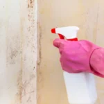 Killing of mold on room wall with chemical spray